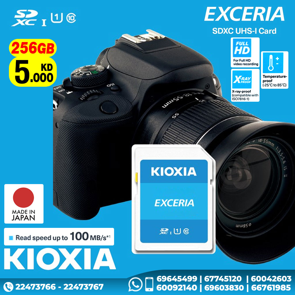 Kioxia Exceria SDXC UHS-I Card 256GB